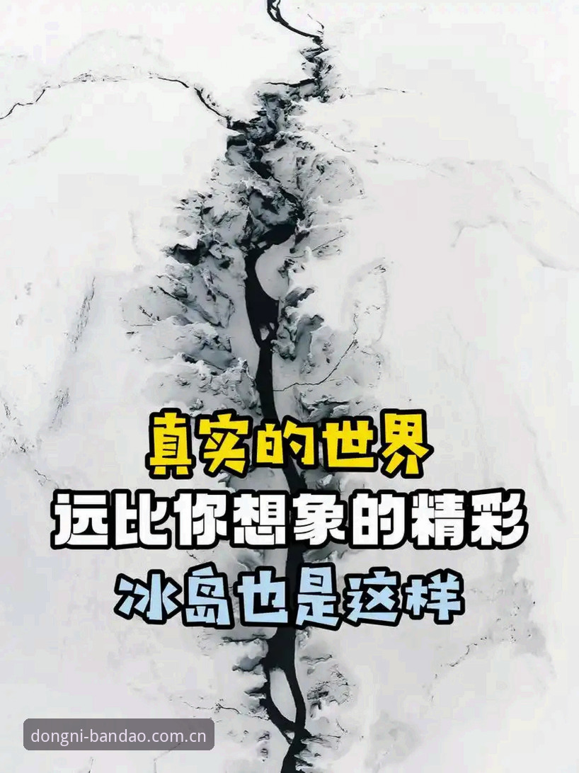 揭秘半岛体育官网：90%用户绕过的弯路，入口选择背后的真实逻辑